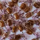 EL BUEN JESUS_065.webp